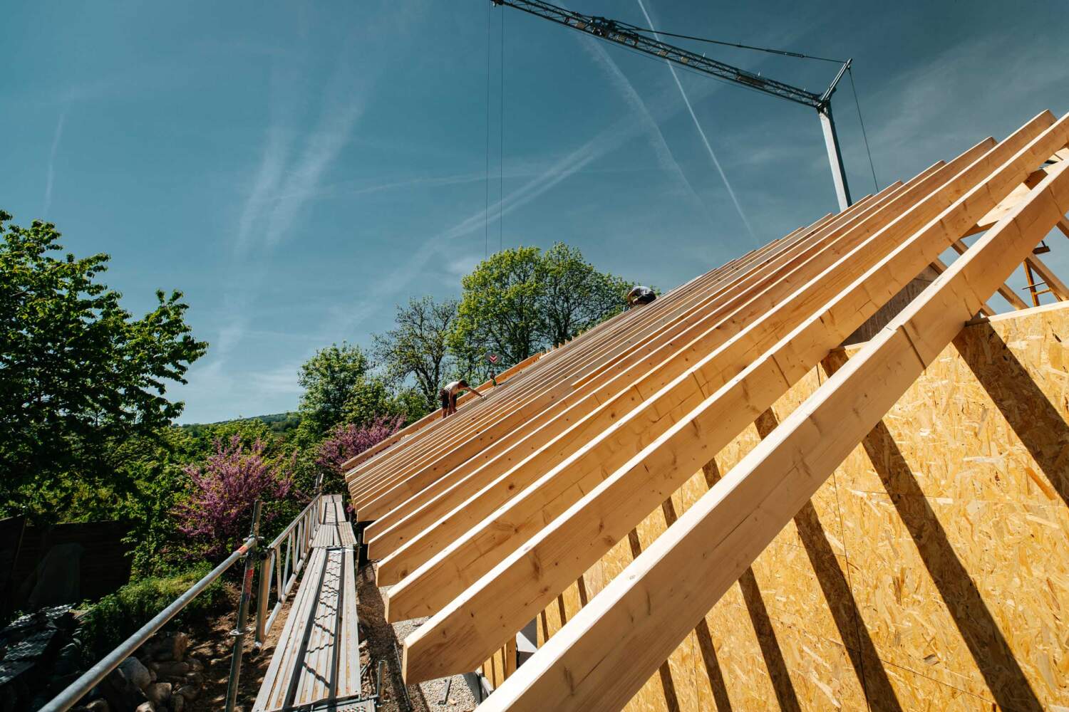 Charpente traditionnelle en bois massif
